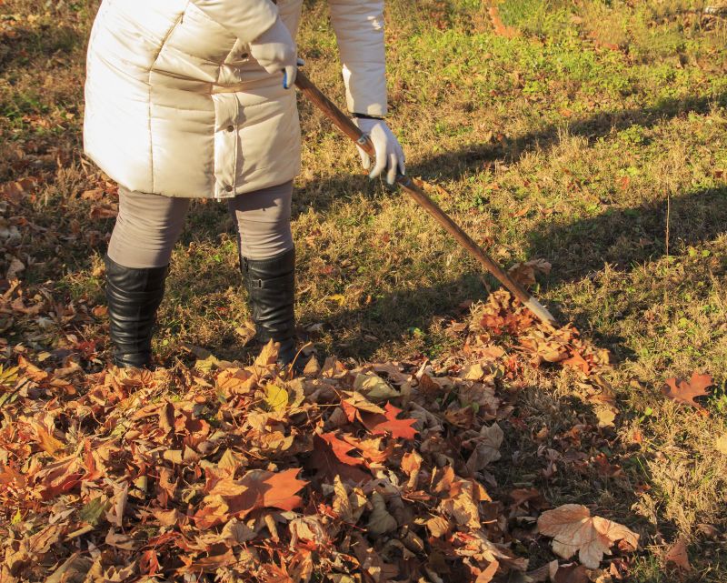Raking Leaves