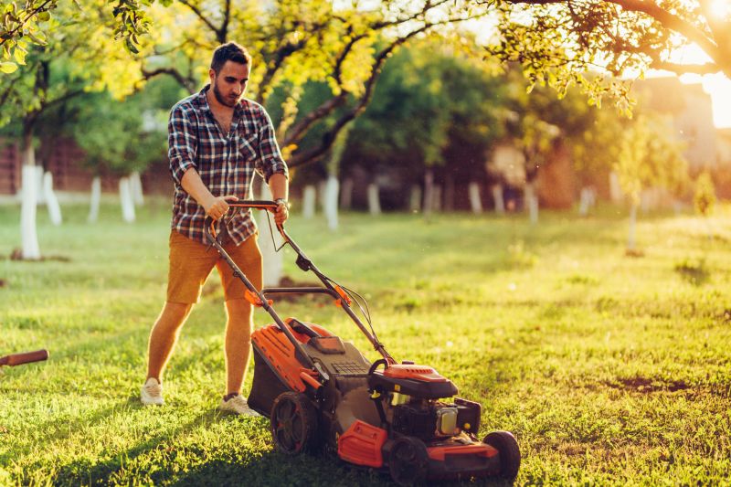 Spring Lawn Care