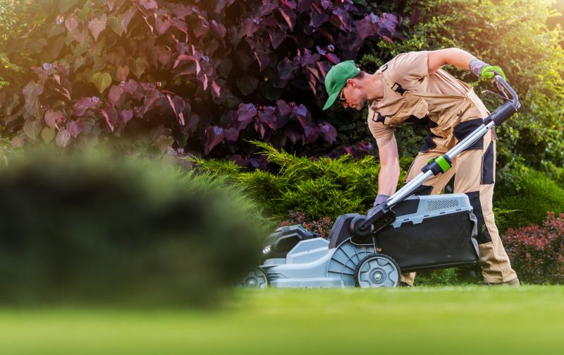 Customized lawn care plans