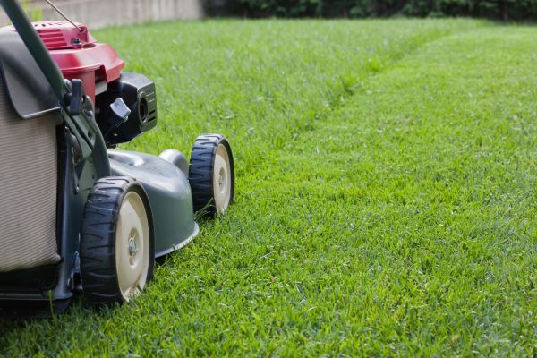 Cost of Lawn Care Service in Gaithersburg