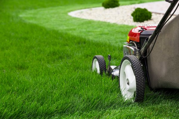 Cost of Mowing Service in Gaithersburg