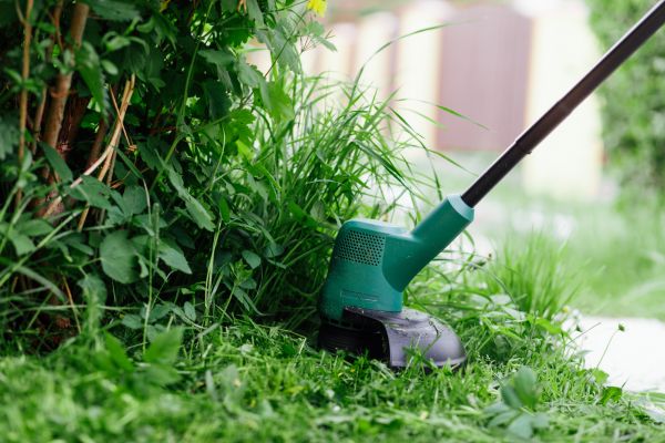 Cost of Weed Whacking in Gaithersburg
