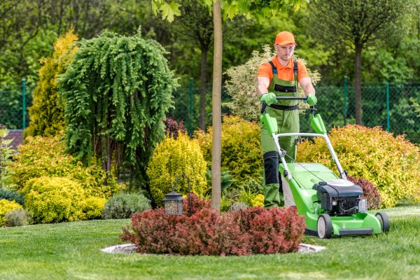 Cost of Yard Service in Gaithersburg