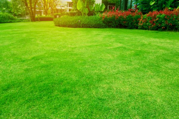 Cost of Grass Maintenance in Gaithersburg