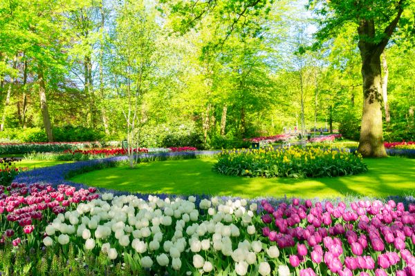 Cost of Spring Lawn Care in Gaithersburg