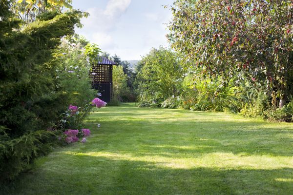 Cost of Yard Upkeep Service in Gaithersburg