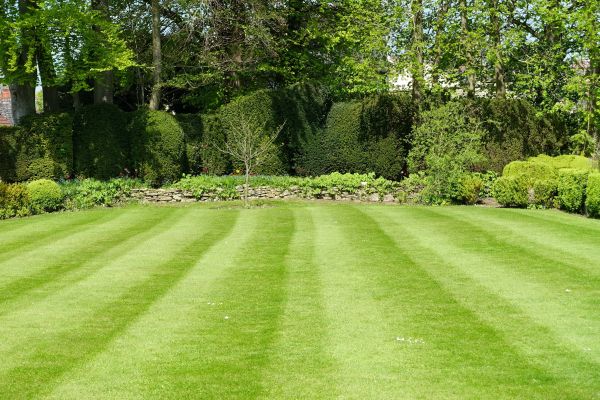Cost of Grass Care Service in Gaithersburg