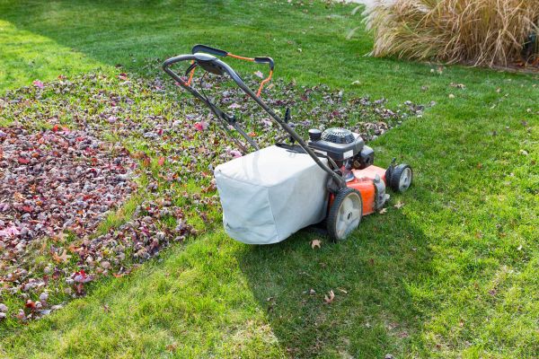 Cost of Seasonal Lawn Care in Gaithersburg