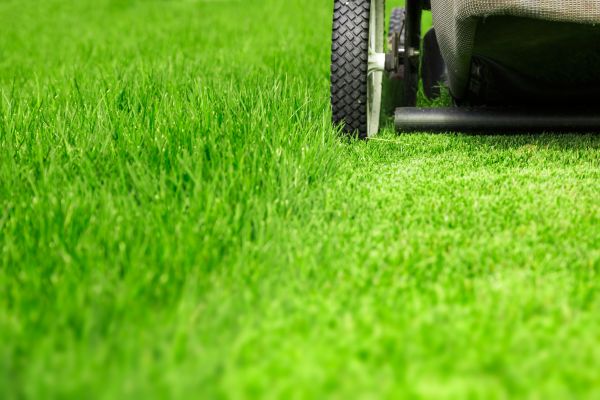 Cost of Weekly Lawn Care in Gaithersburg