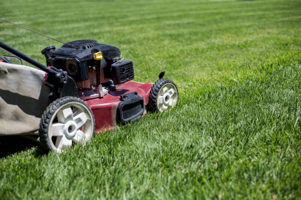 Cost of Routine Lawn Care in Gaithersburg