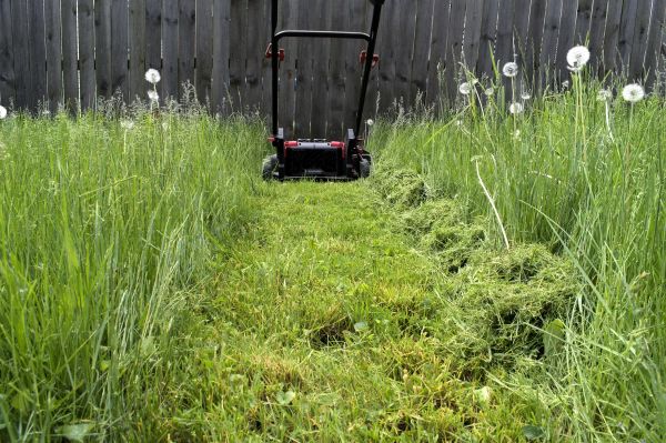 Cost of High Grass Mowing in Gaithersburg