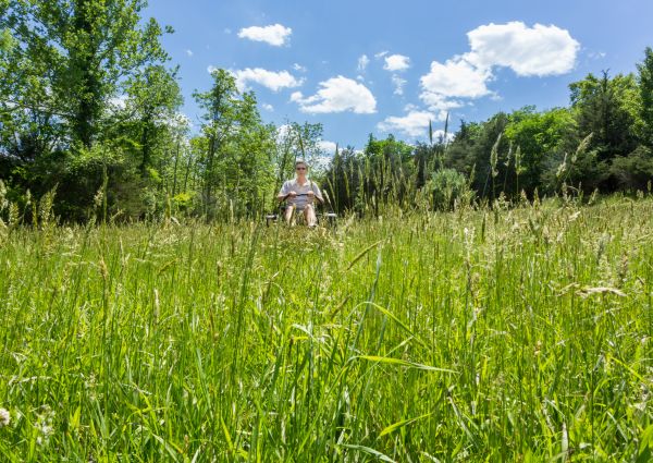 Cost of Long Grass Mowing in Gaithersburg