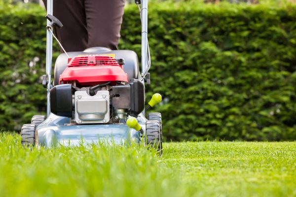 Cost of Grass Trimming Service in Gaithersburg