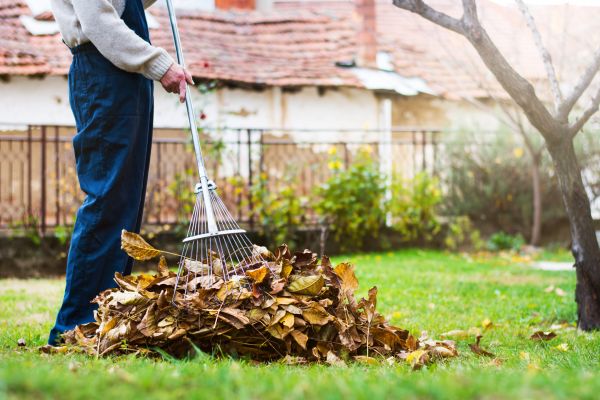 Cost of Routine Lawn Maintenance in Gaithersburg