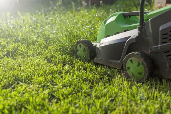 Cost of Yard Trimming in Gaithersburg