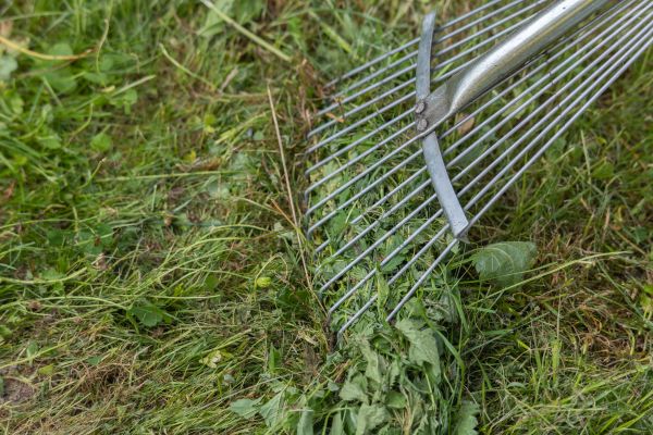 Cost of Thatch Raking in Gaithersburg