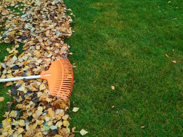 Cost of Fall Lawn Care in Gaithersburg