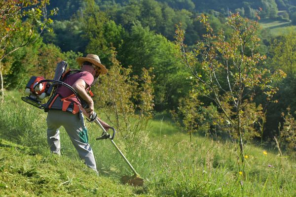 Cost of Slope Mowing in Gaithersburg