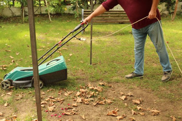 Cost of Leaves Mowing in Gaithersburg