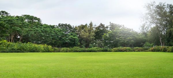Cost of Golf Course Mowing in Gaithersburg