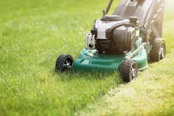 Cost of Spring Grass Trimming in Gaithersburg