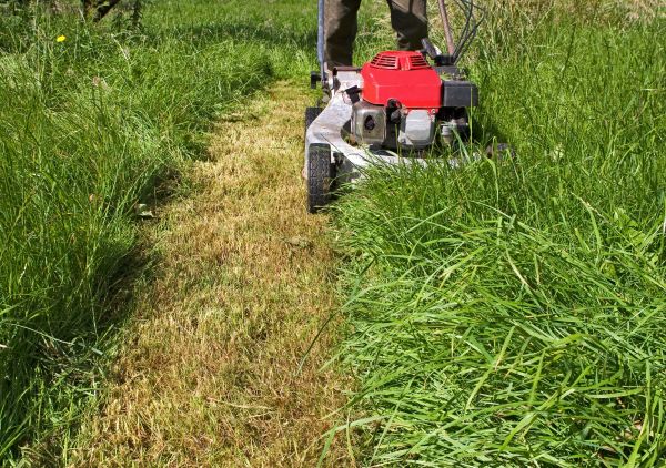 Cost of Leaf Mowing in Gaithersburg